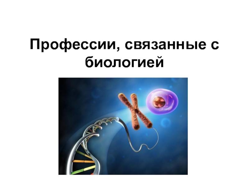 Какие профессии связаны с биологией | формирование и учеба