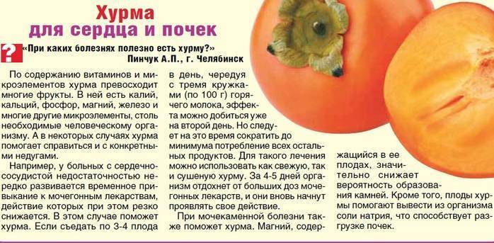 Диета при кормлении грудью: что можно есть