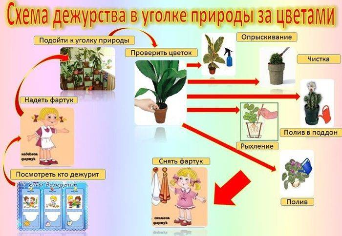 План-конспект занятия (старшая группа) на тему: конспект занятия по трудовому воспитанию. конспект нод в старшей группе по трудовому воспитанию