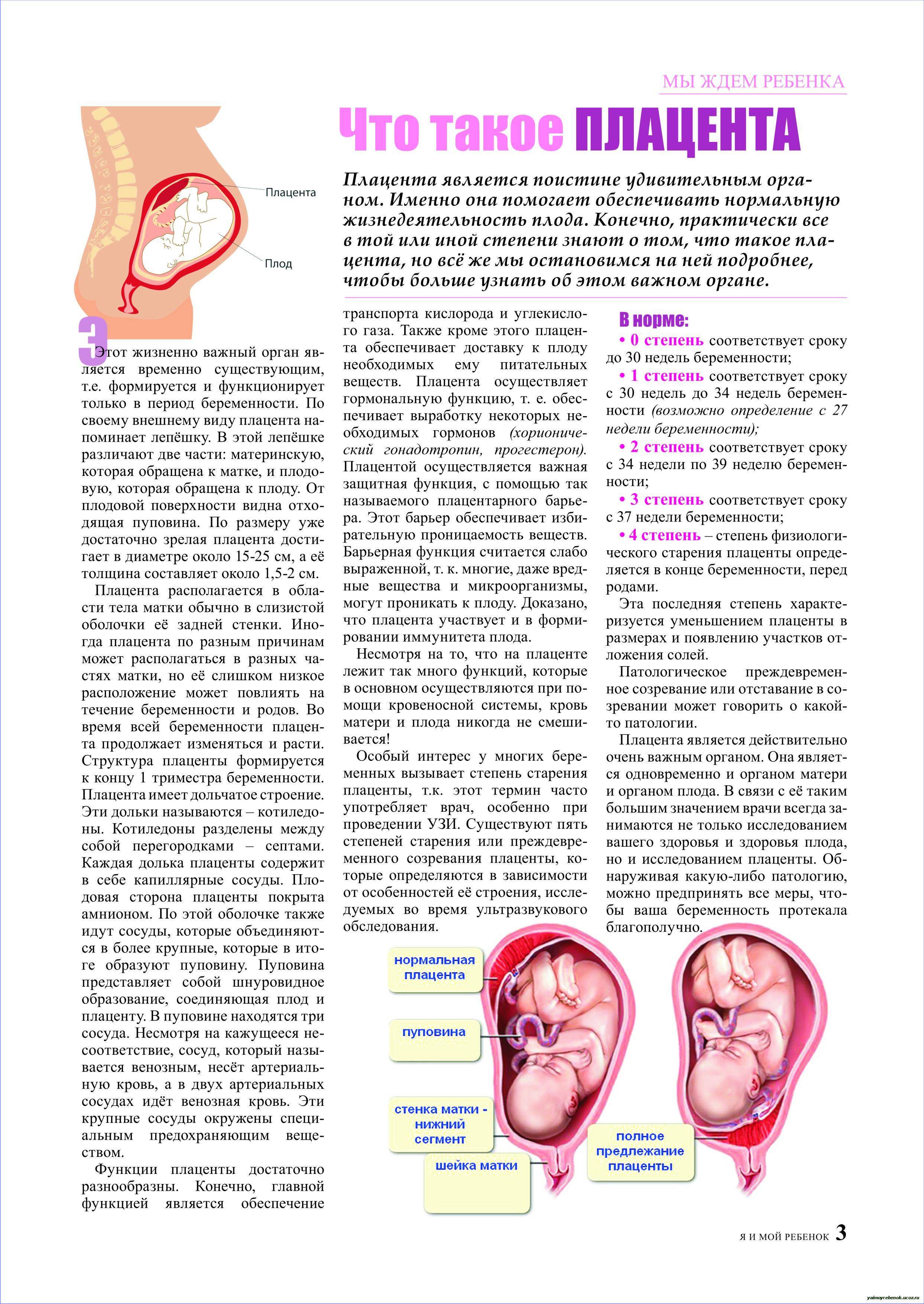 Низкая плацента при беременности: чем опасна и как рожать - статья репродуктивного центра «за рождение»