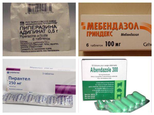 Обзор лекарств от остриц для детей и взрослых: список эффективных таблеток и суспензий