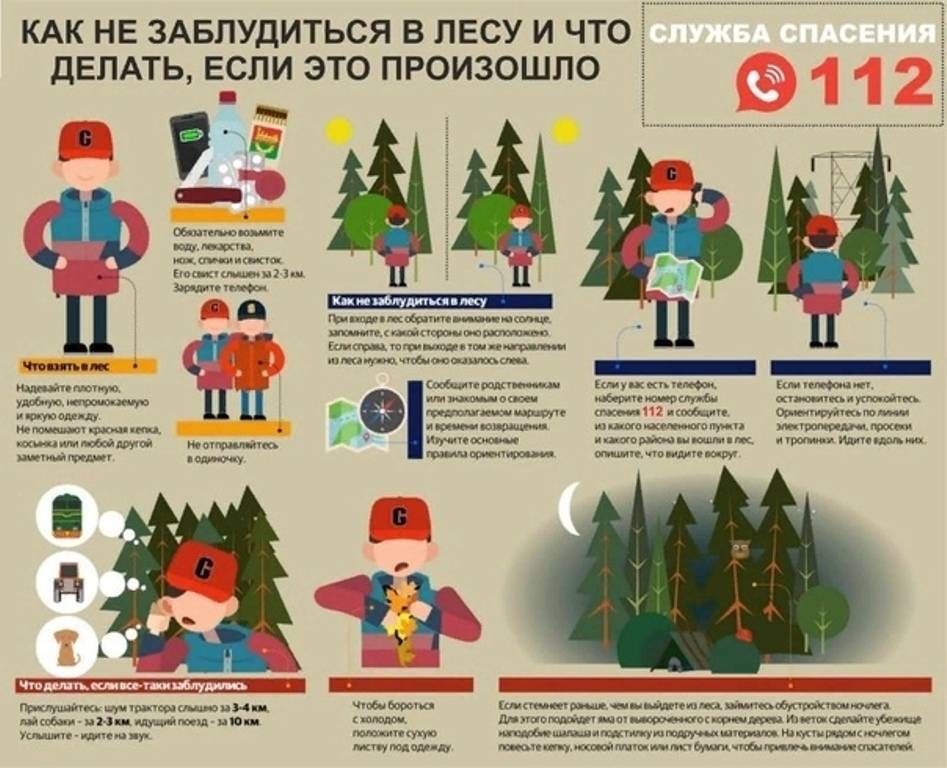 Поведение детей в лесу. правила поведения в лесу для детей
