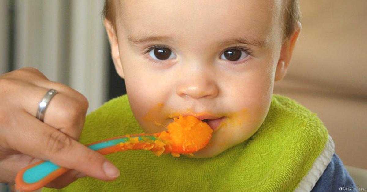 Как научить ребенка жевать – советы от heinz baby