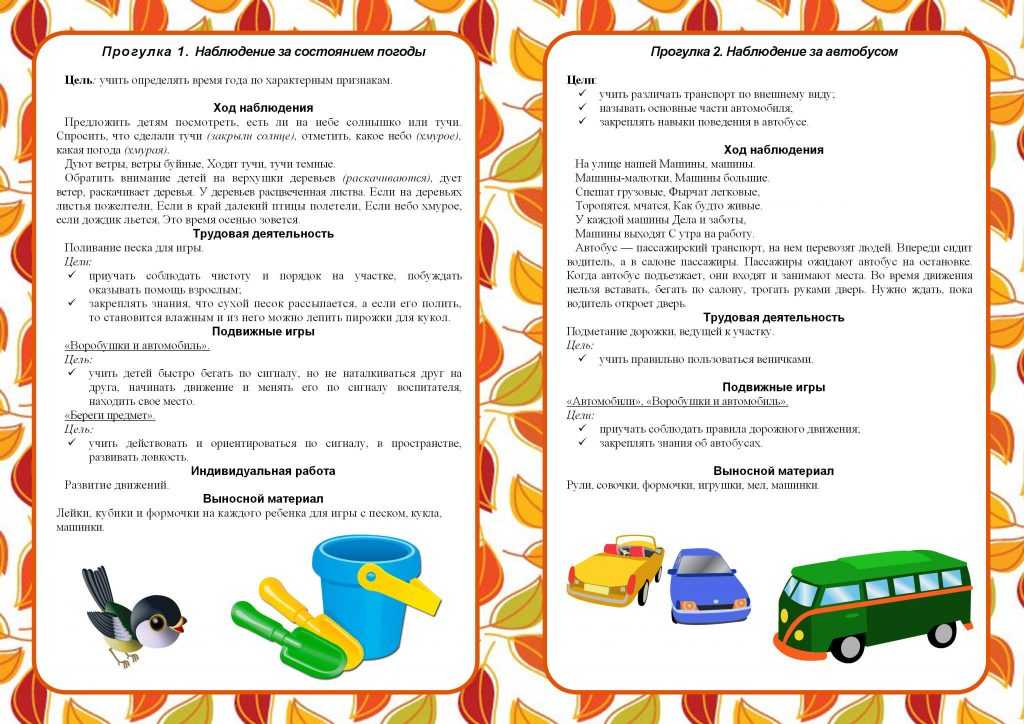 Подготовка и проведение прогулки в средней группе: развитие психических познавательных процессов (21 фото). воспитателям детских садов, школьным учителям и педагогам - маам.ру