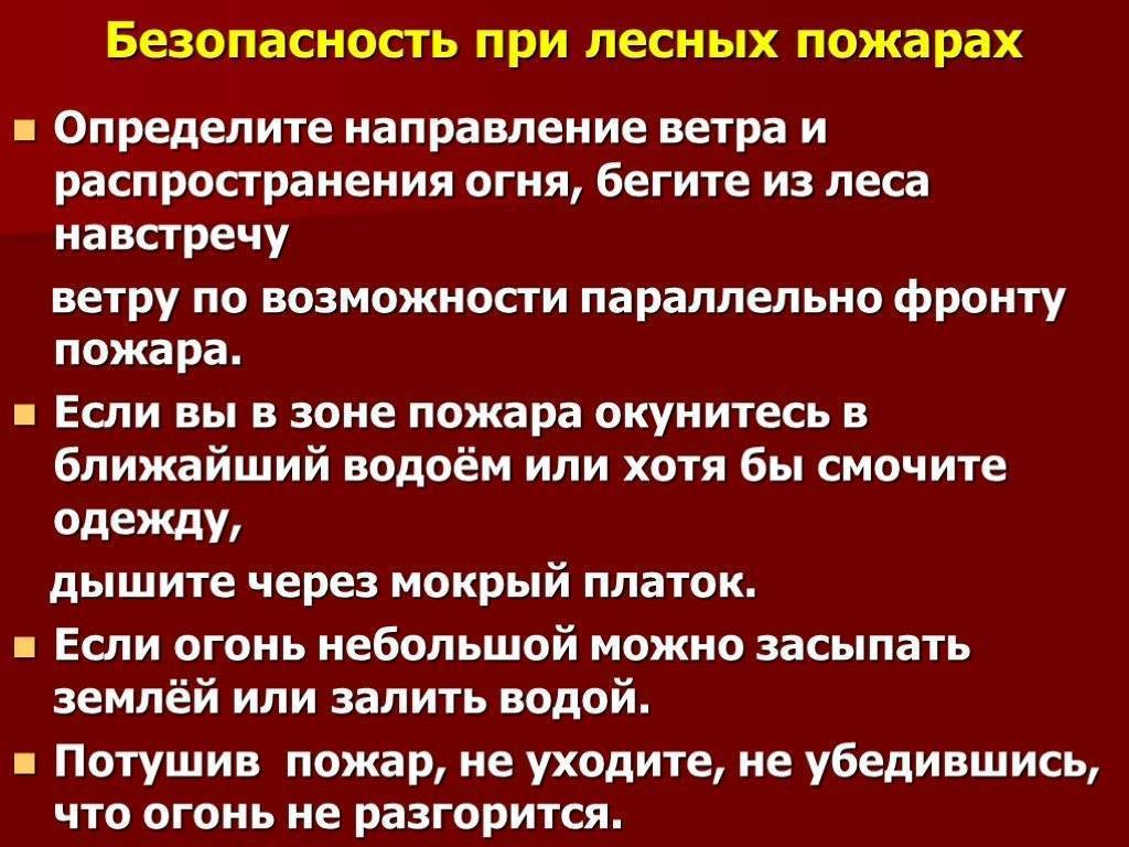 Действия населения при лесных пожарах. Действия при Лесном пожаре. Правила поведения при Лесном пожаре. Памятка поведения при Лесном пожаре.