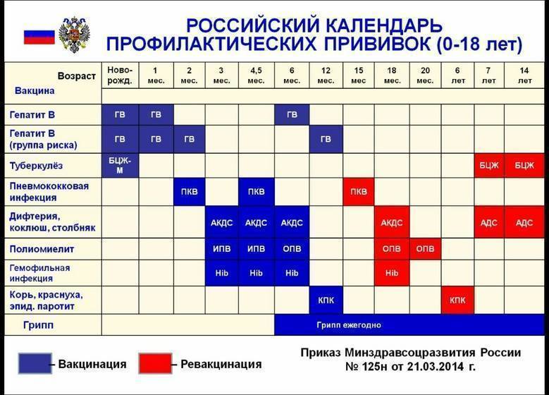 Прививки ребенку после 3 лет. График прививок для детей до года в России таблица 2021. Календарь прививок для детей 2021 в России таблица. Календарь прививок 2021 для детей до года в России таблица. Национальный календарь прививок РФ 2021.