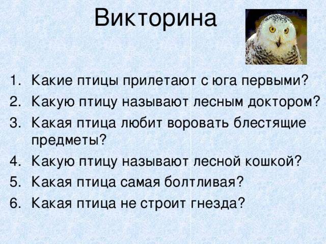 Викторина о птицах для начальной школы с ответами