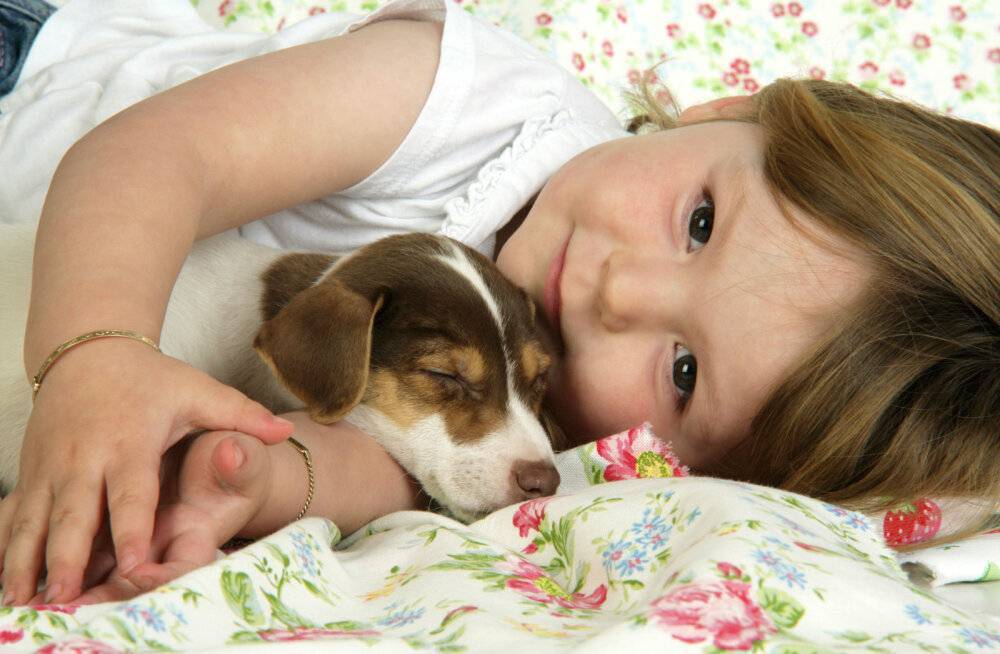Взаимоотношения детей и домашних животных: что нужно знать
