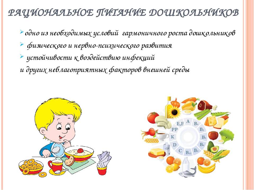 Организация питания в детском саду | статья в журнале «молодой ученый»