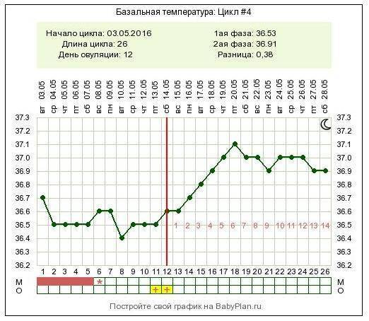 Менструальный цикл: норма или отклонения * клиника диана в санкт-петербурге