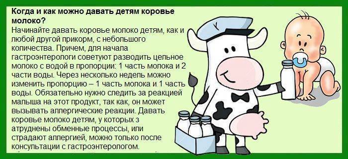 С какого возраста можно давать ребенку коровье молоко, правила ввода в рацион