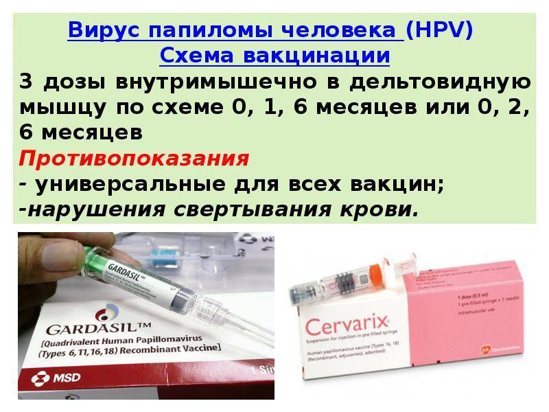 Вакцинация против вируса папилломы человека - прививка от впч