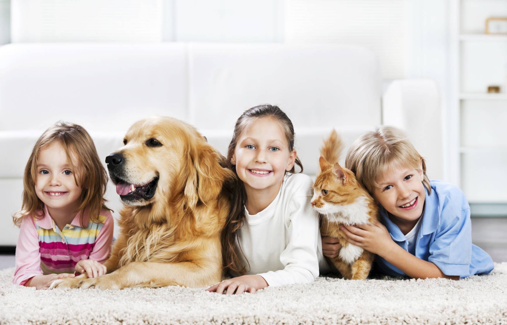 Польза домашних животных для детей