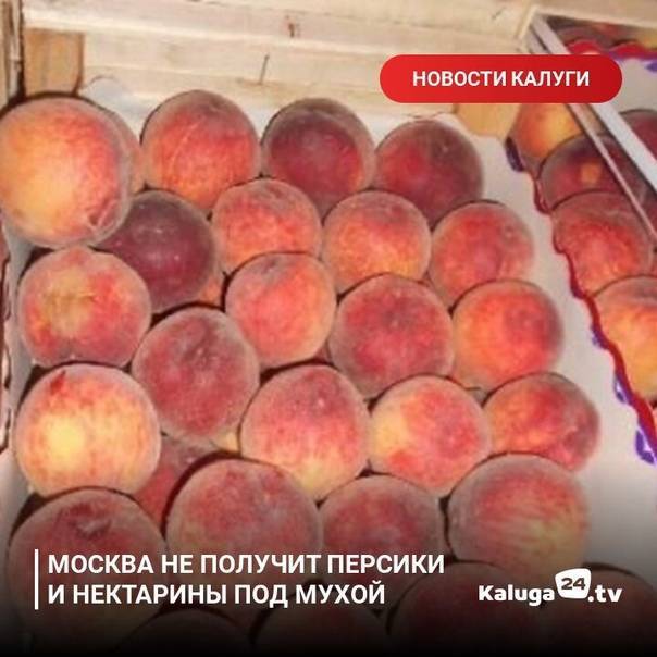 Что нужно знать маме о грудном вскармливании | как правильно наладить кормление грудью