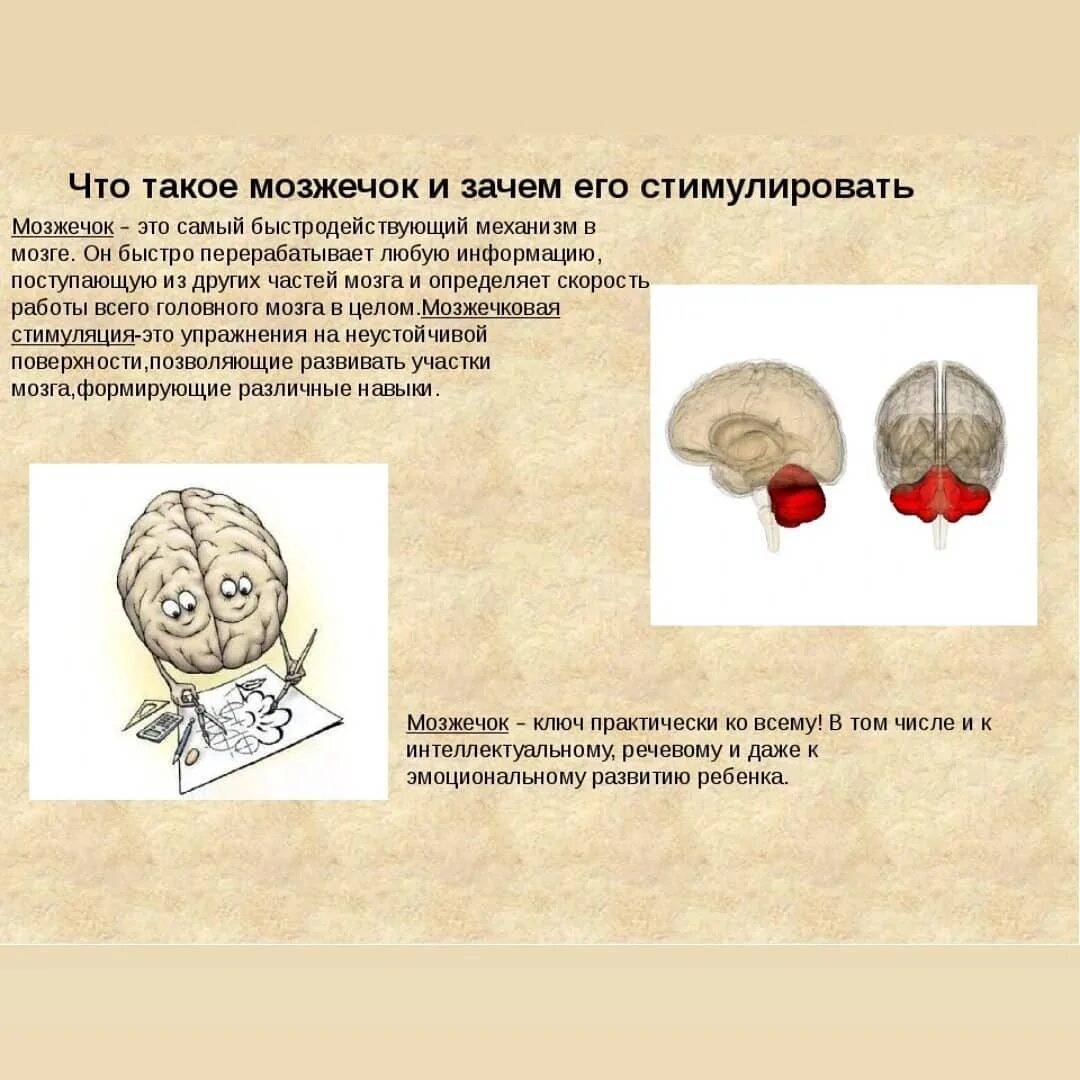 Балансировочная платформа: лучшие упражнения, польза и недостатки, как выбрать тренажер