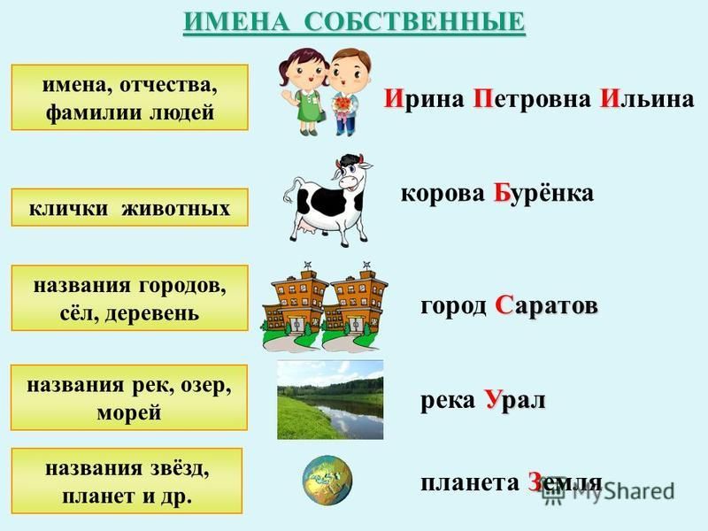 Собственные и нарицательные имена существительные в русском языке