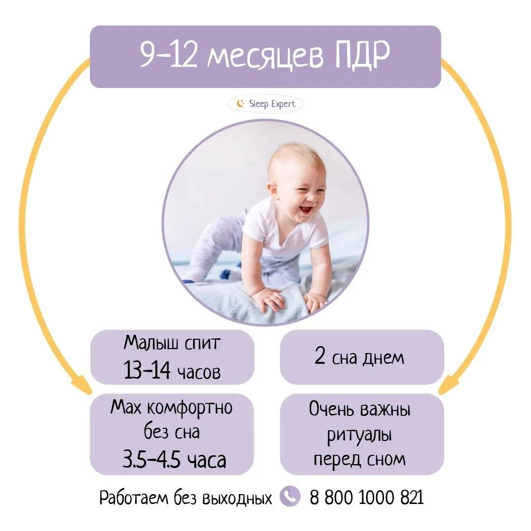 Режим дня ребенка в 7 месяцев: таблица по часам, сколько должен спать | распорядок дня семимесячного малыша