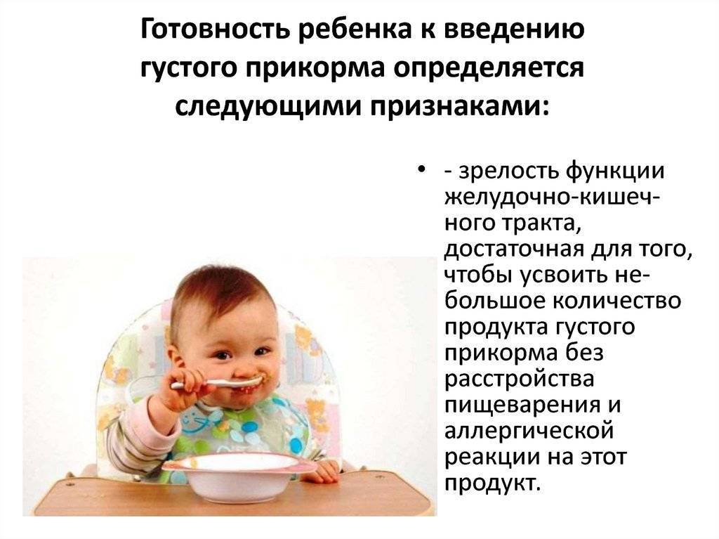Пищеварение новорожденного ребенка