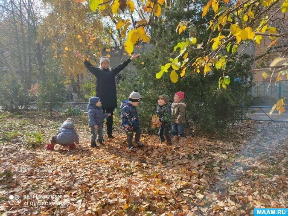 Труд на участке в старшей группе осенью. конспект занятия-прогулки в старшей группе «осенние наблюдения