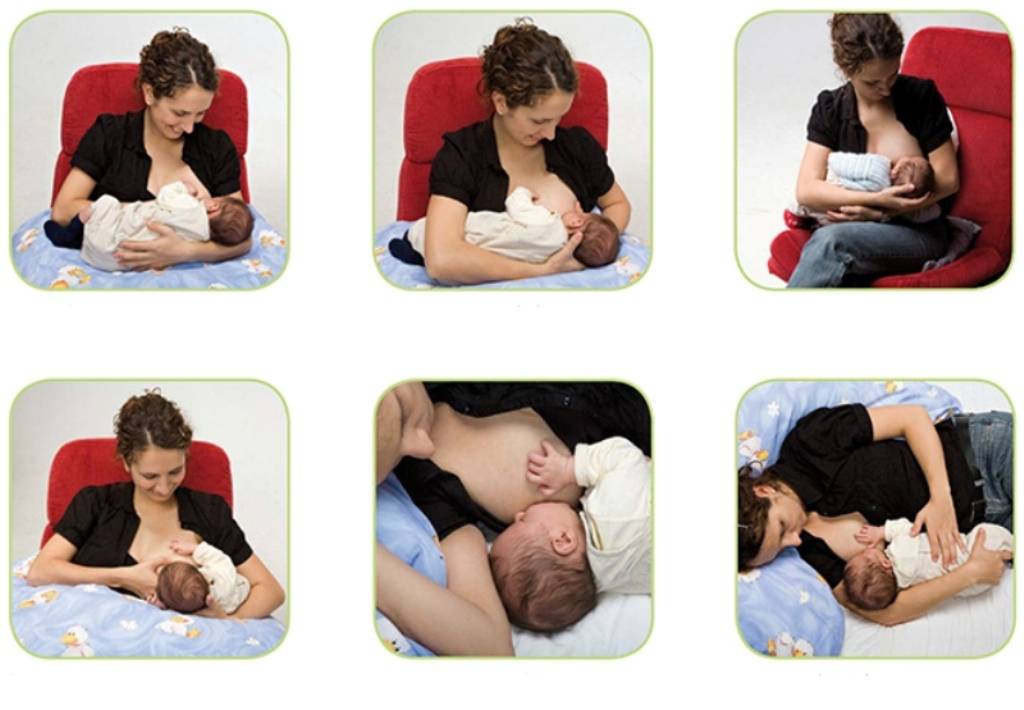 Правильное прикладывание новорожденного для успешного грудного вскармливания