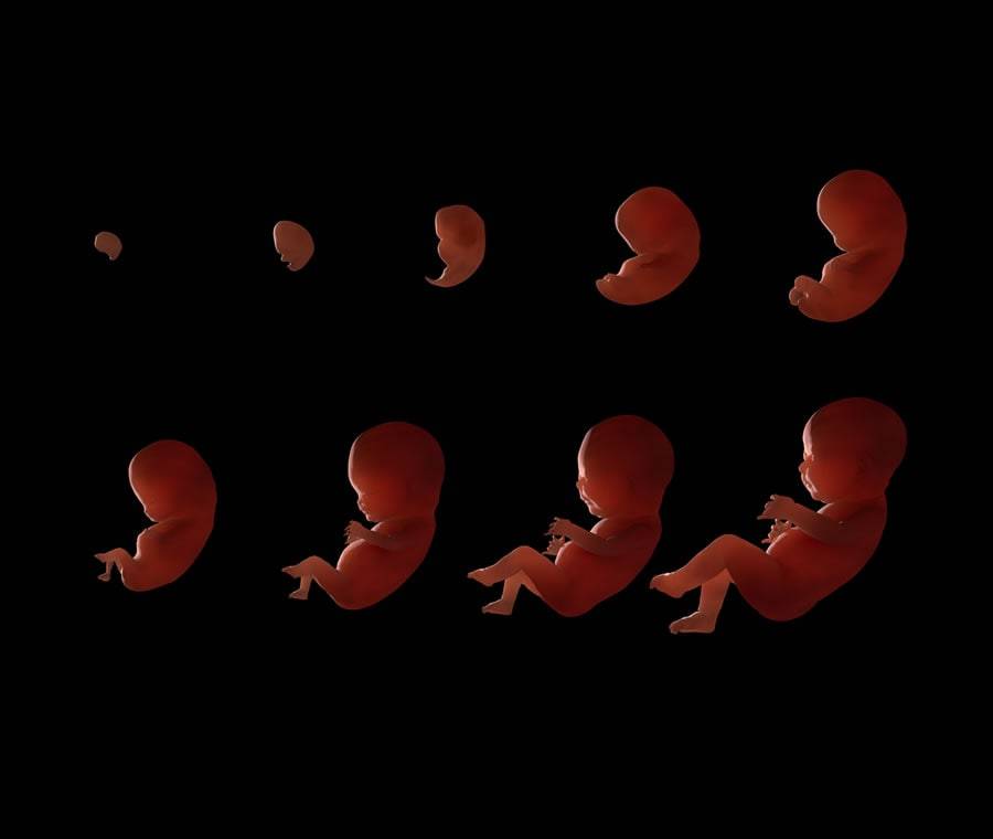 Можно ли повредить ребенка в утробе матери при наклонах и других неосторожных действиях?