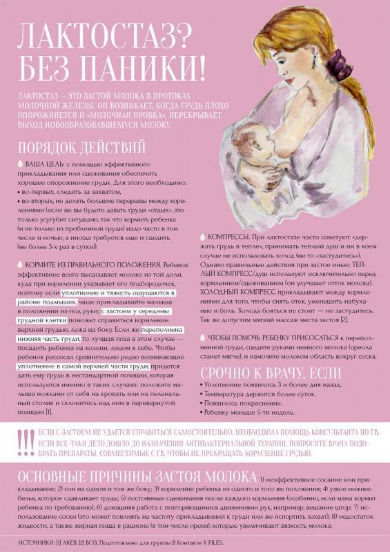 Как восстановить лактацию после перерыва