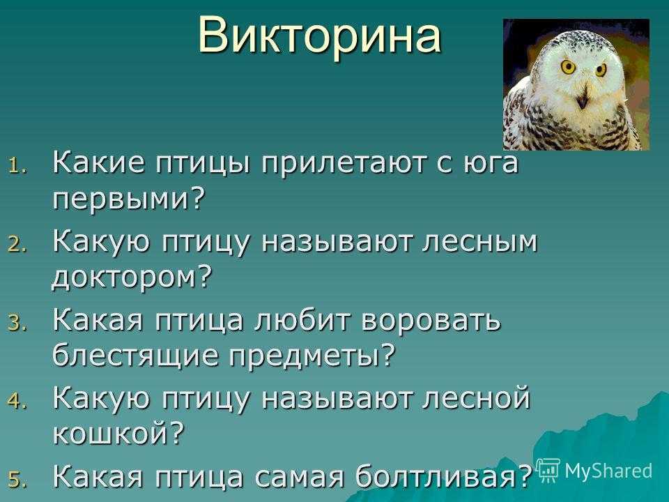 Викторина о растениях для начальной школы 8-10 лет с ответами