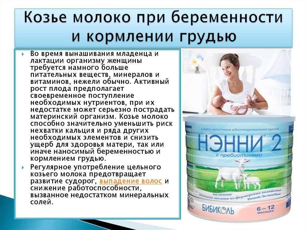 Козье молоко детям до года. может ли быть аллергия на козье молоко. | nutrilak