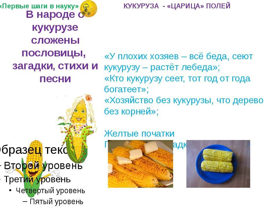 Со скольки месяцев можно давать ребенку кисель? как сварить ребенку кисель из яблок, клюквы, малины, бананов, замороженных ягод, молочный, овсяный?