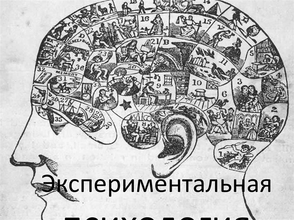 Нечаев а. п. руководство к экспериментально-психологическому исследованию детей дошкольного и школьного возраста. вып. 1. — 1925