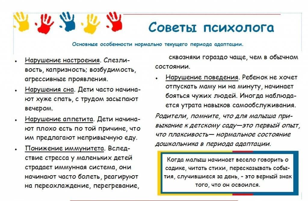 Когда отдать ребенка в школу ? как отдать ребенка в школу ?