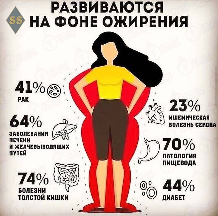 Диета для детей для похудения: меню и рецепты, правила питания, как посадить ребенка на диету / mama66.ru