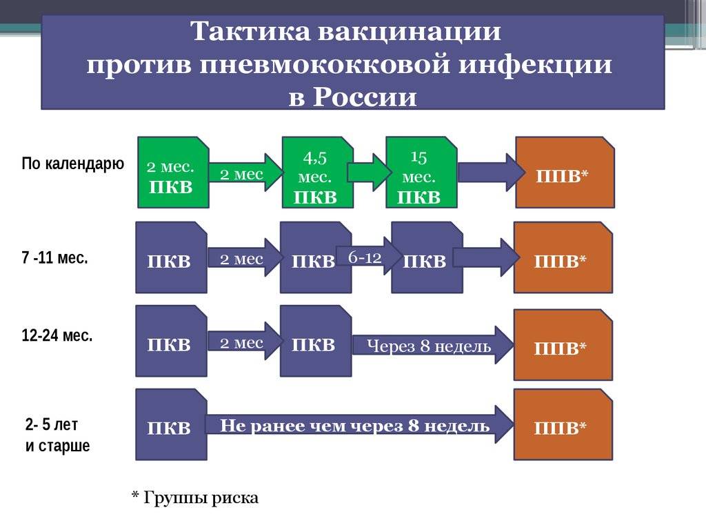 Пневмо 23 или превенар 13: что лучше переносится и в чем отличие вакцин?