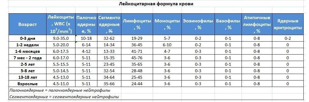 Лимфоциты в крови: норма у детей