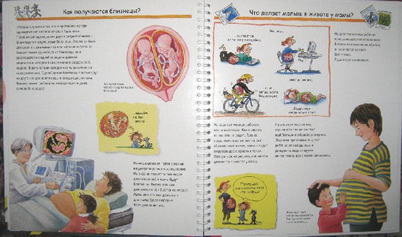 Как объяснить ребёнку, что такое секс