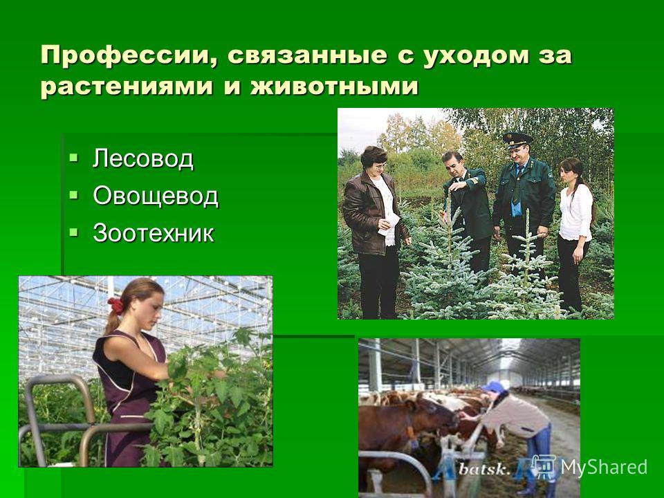 Профессии связанные с животными и природой