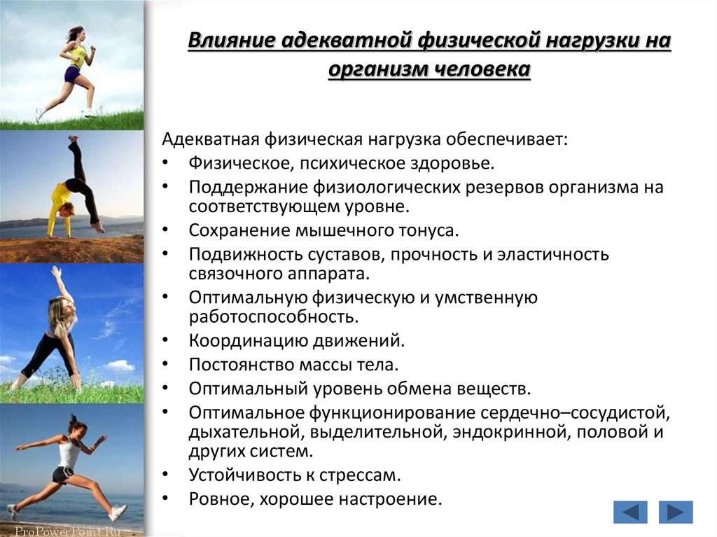 Психофизиологические особенности состояния организма школьников выпускных классов общеобразовательных школ г. тюмени   завертаная елена ивановна