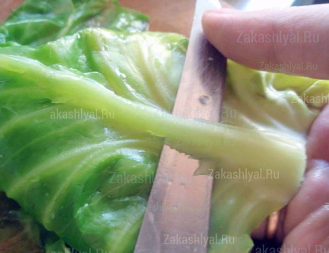 Компресс из капустного листа при мастопатии: полезные рецепты