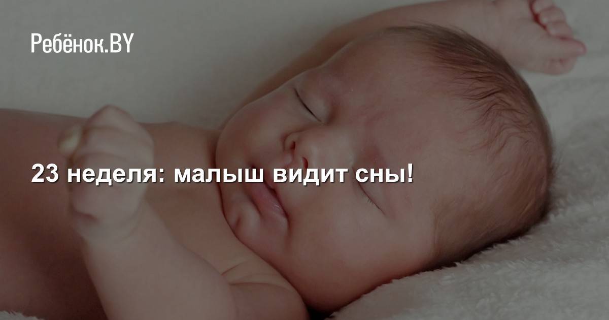 Спать как младенец: видят ли сны новорожденные?