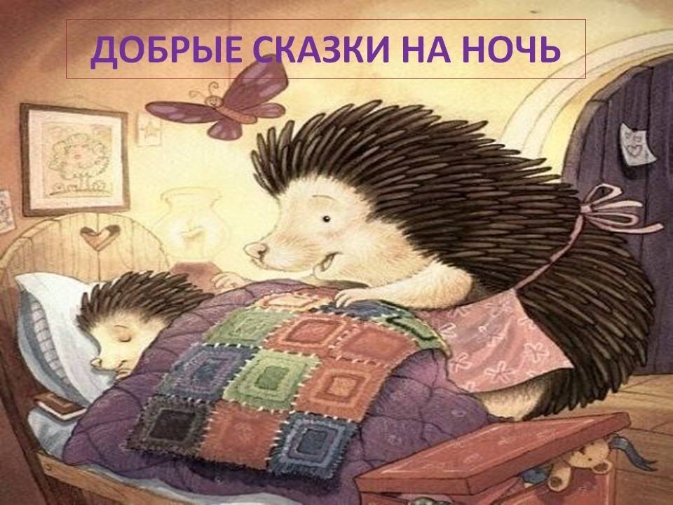 Спящий ежик рисунок