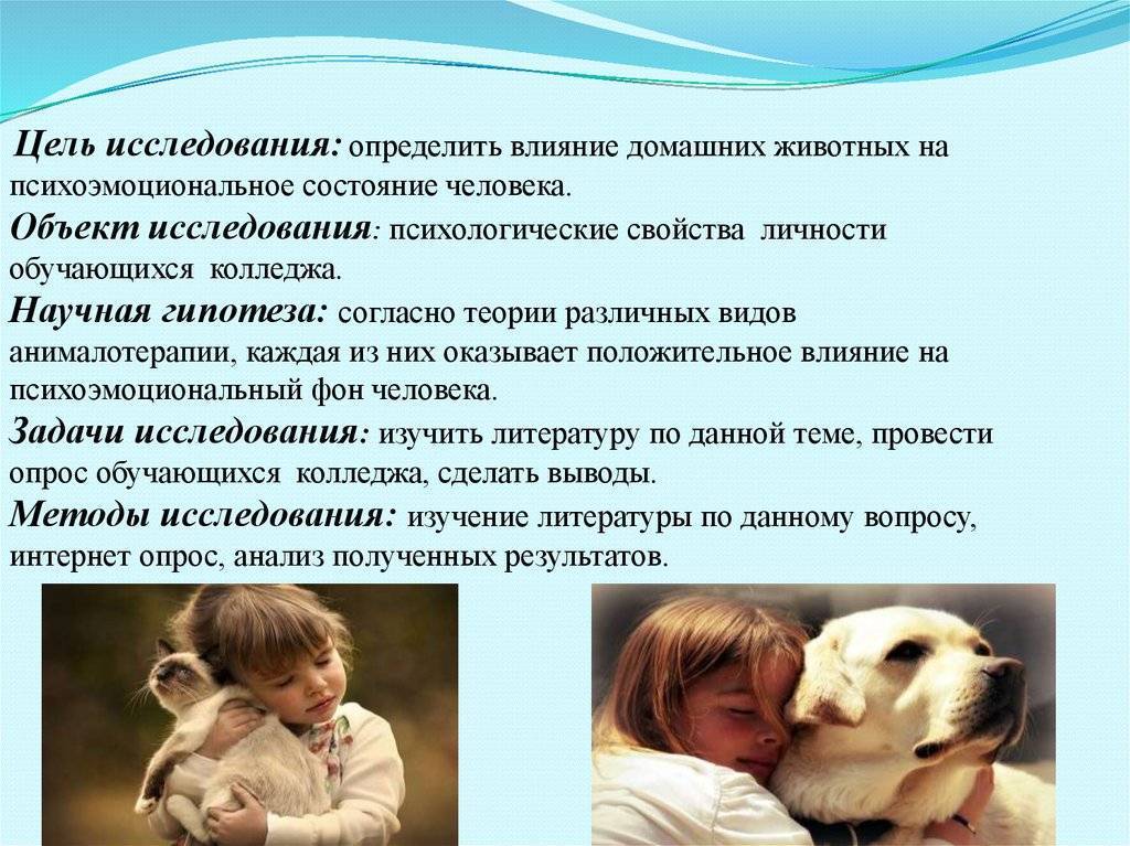 Проект для группы раннего возраста «домашние животные». воспитателям детских садов, школьным учителям и педагогам - маам.ру