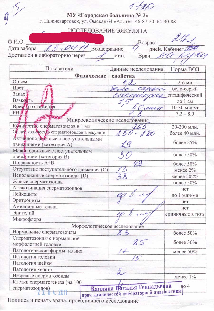 Влияние алкоголя на качество спермы