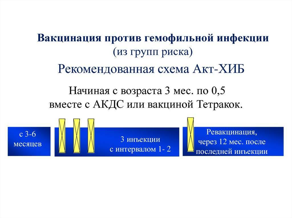 Гемофильная вакцина схема вакцинации