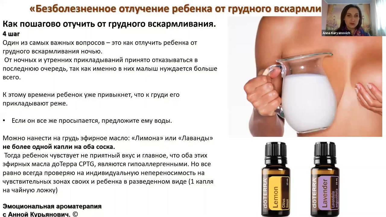 Как отучить ребенка от грудного вскармливания в 1,5 года: комаровский