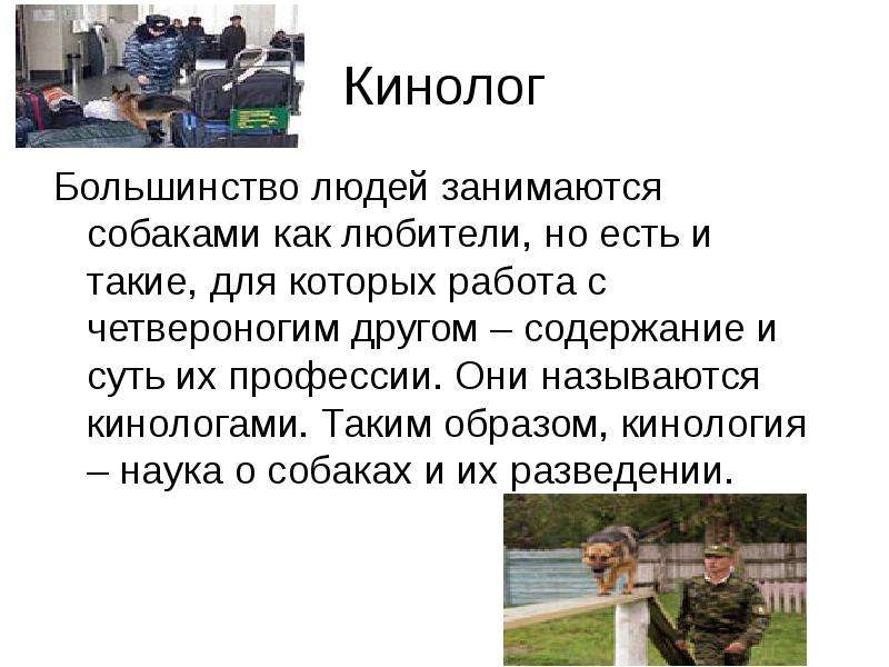 Кинолог - это профессия о разведении и воспитании собак