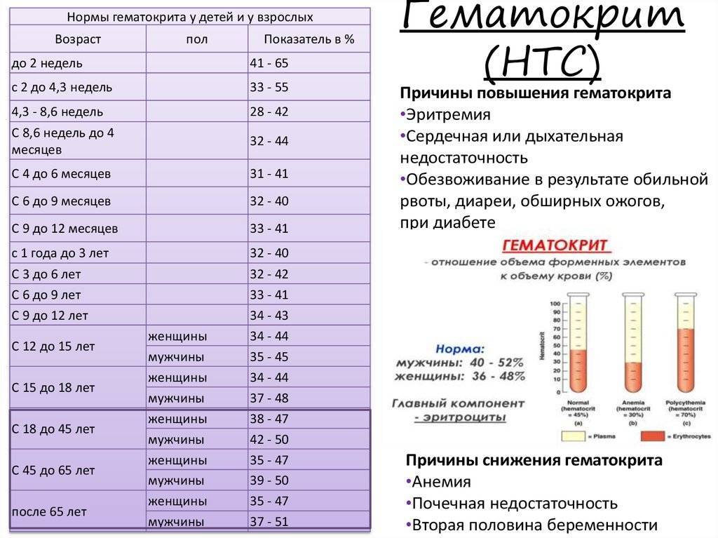 Анемия у детей - лечение, симптомы, профилактика и диагностика анемии | см клиника