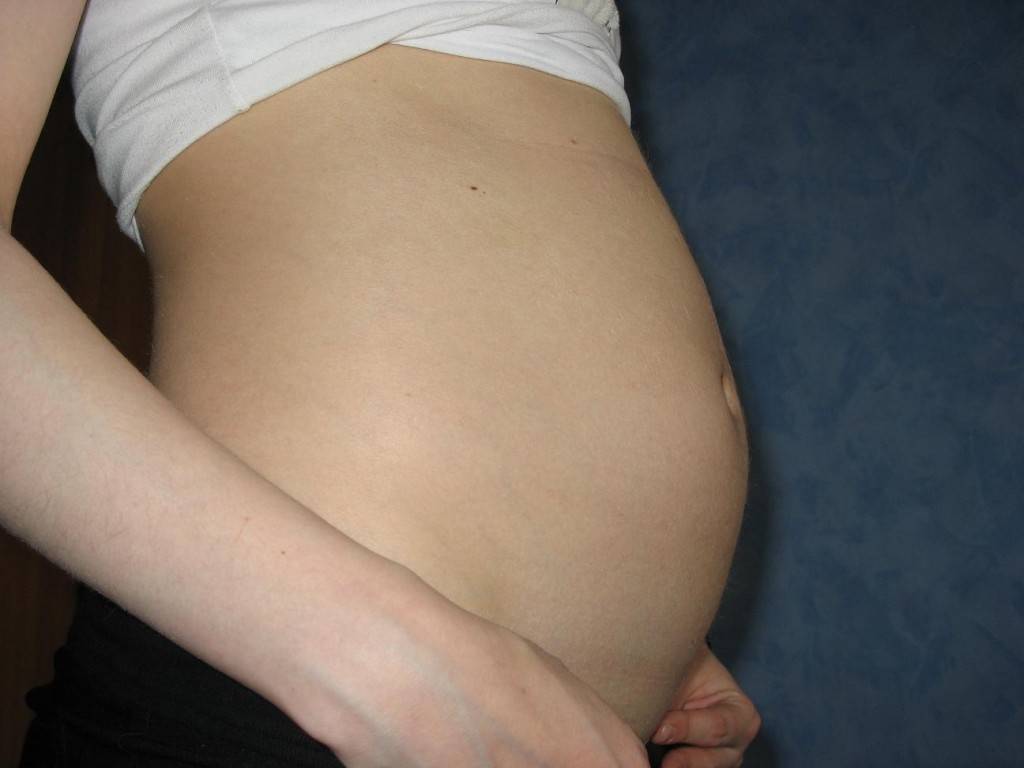 12 недель беременности описание и фото — евромедклиник 24