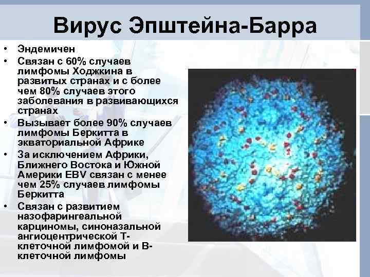Вирус эпштейна-барр