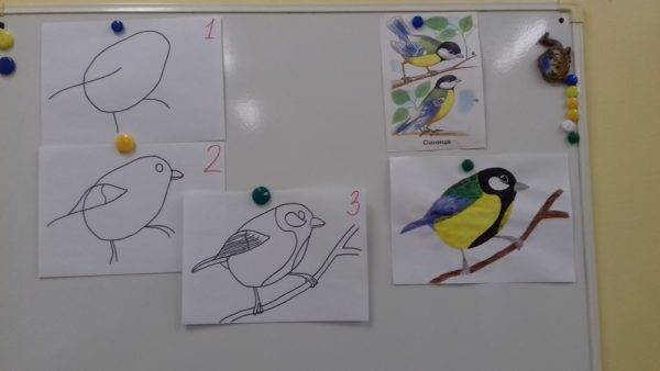 Как нарисовать птицу своими руками поэтапно: мастер-класс по созданию рисунков карандашами или красками