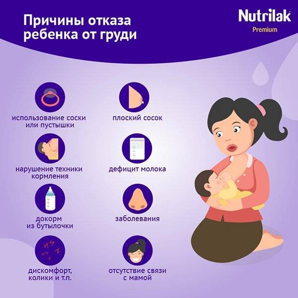 Ребёнок не берёт грудь психует и плачет: перечень всех возможных поводов беспокойства и помощь малышу